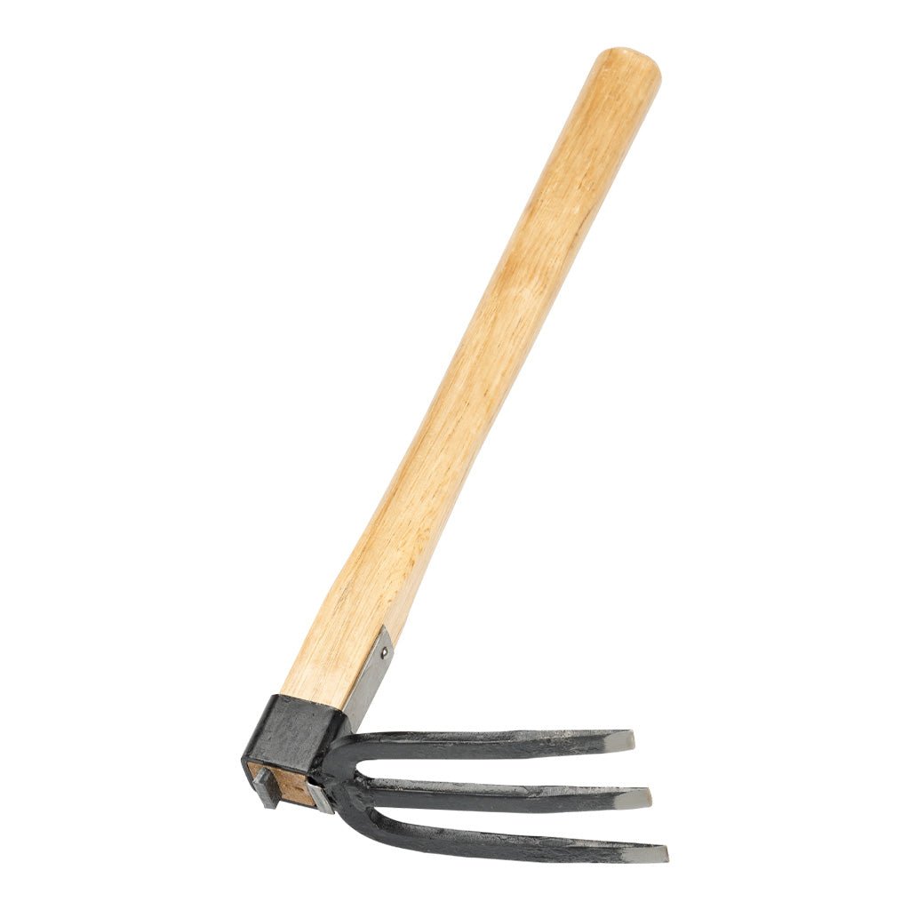 Three pronged forked hand hoe gardening tool with wooden handle on white background