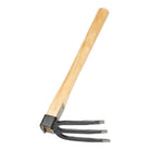 Three pronged forked hand hoe gardening tool with wooden handle on white background