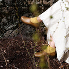 Gardana Hemp Clogs Boston General Store