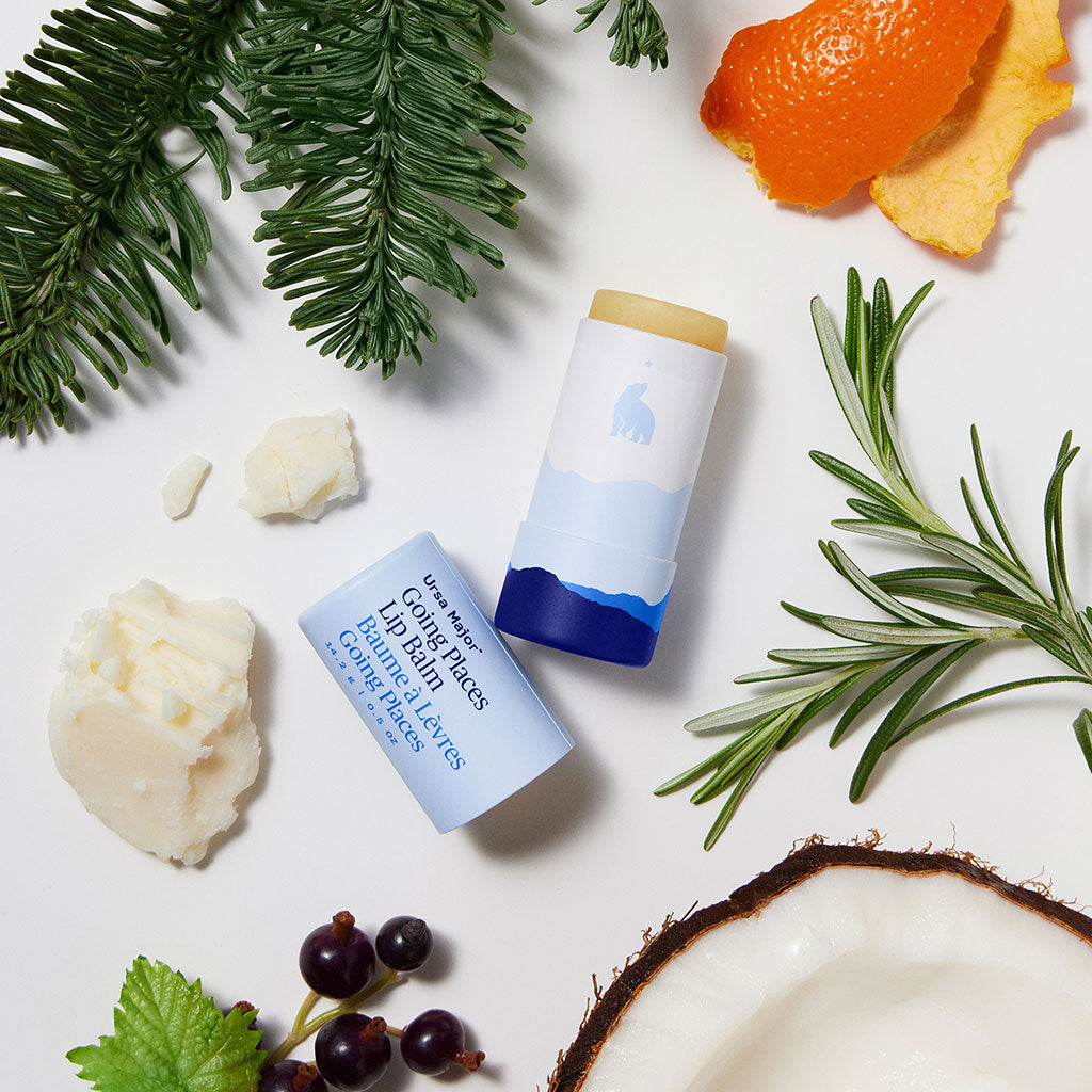 Going Places Lip Balm at Boston General Store