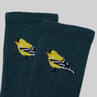 Goldfinch Sock Boston General Store