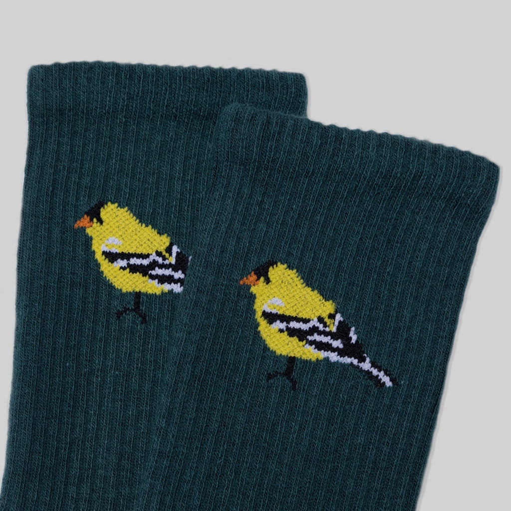 Goldfinch Sock at Boston General Store