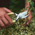 Hand holding garden shears with blurred green foliage in the background