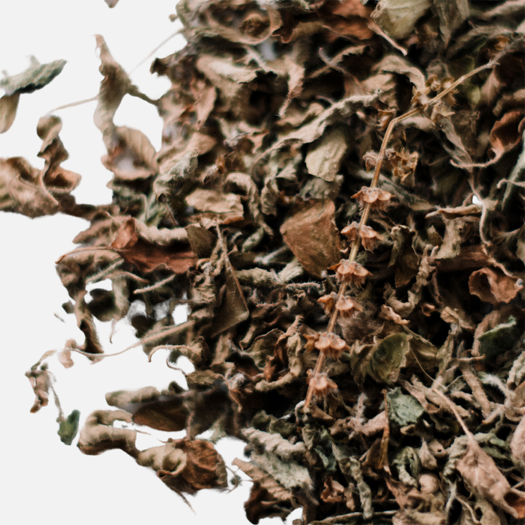 Happy Tulsi Tea    at Boston General Store
