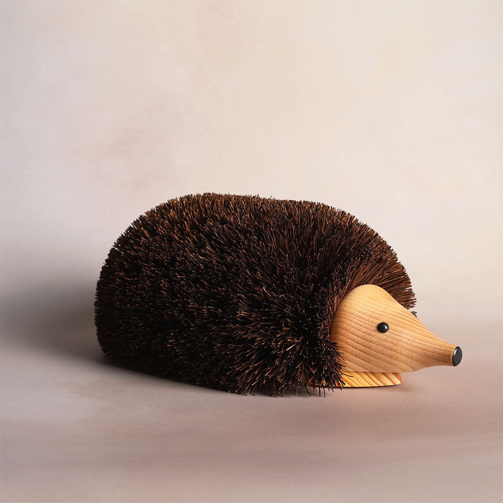 Shoe Cleaning Hedgehog at Boston General Store