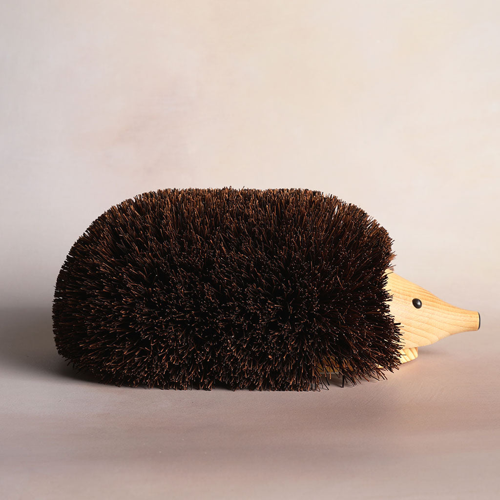 Shoe Cleaning Hedgehog at Boston General Store