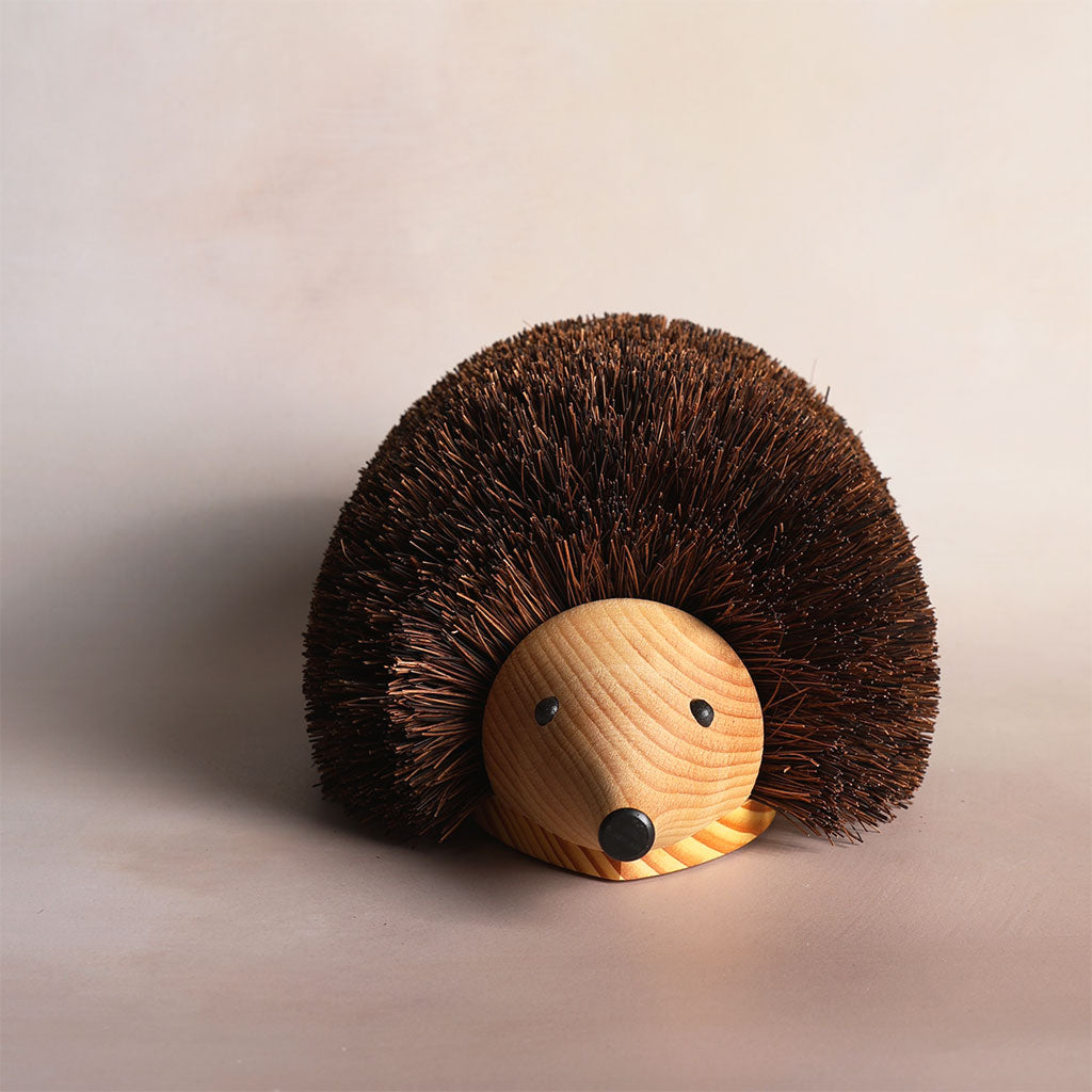 Shoe Cleaning Hedgehog at Boston General Store