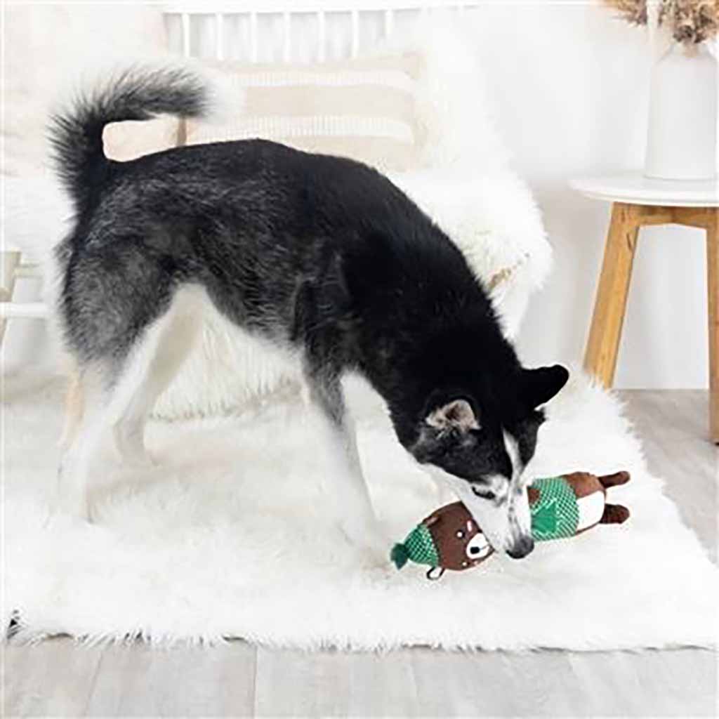 Hibernation Mode Plush Dog Toy Boston General Store