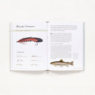 History of Fly Fishing in Fifty Flies Boston General Store