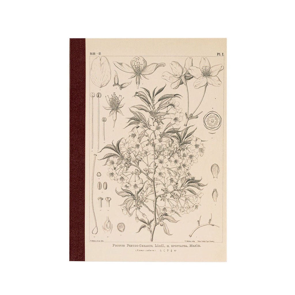 Hobonichi Grid Notebook (A5) Yamazakura Boston General Store