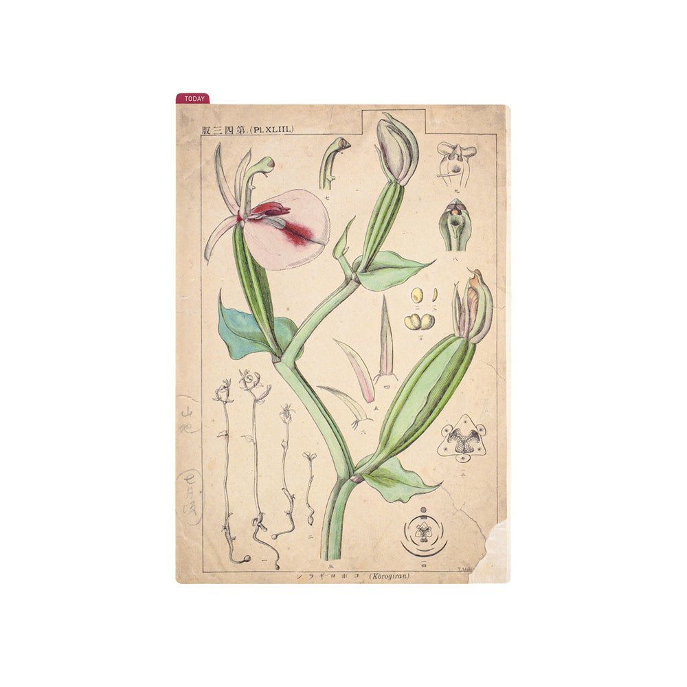Hobonichi Pencil Board - Cousin A5 - Tomitaro Makino Boston General Store