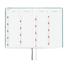 Hobonichi Techo HON A6 2026 - Bow & Tie: In the Forest Boston General Store