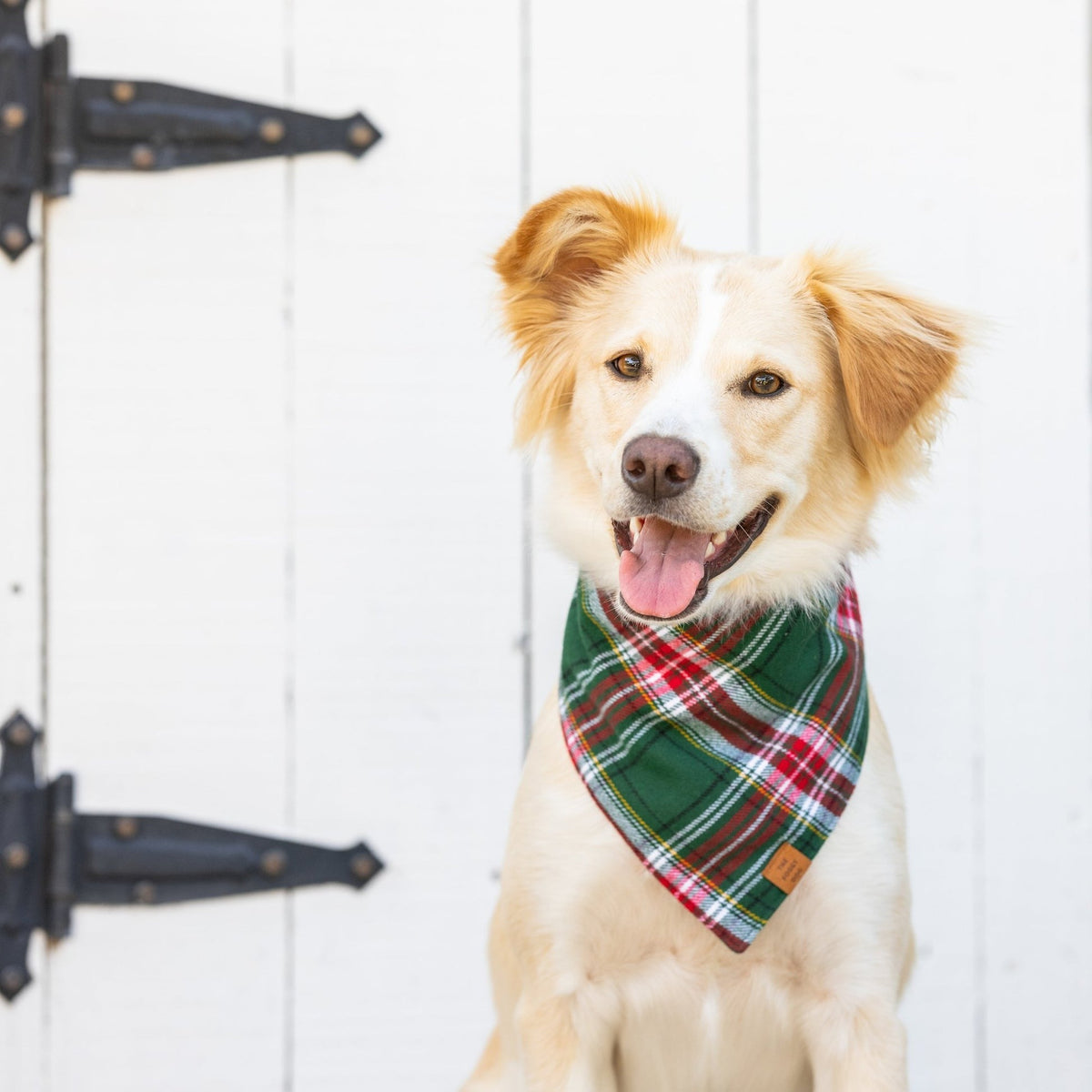 Holly Jolly Flannel Dog Bandana Boston General Store