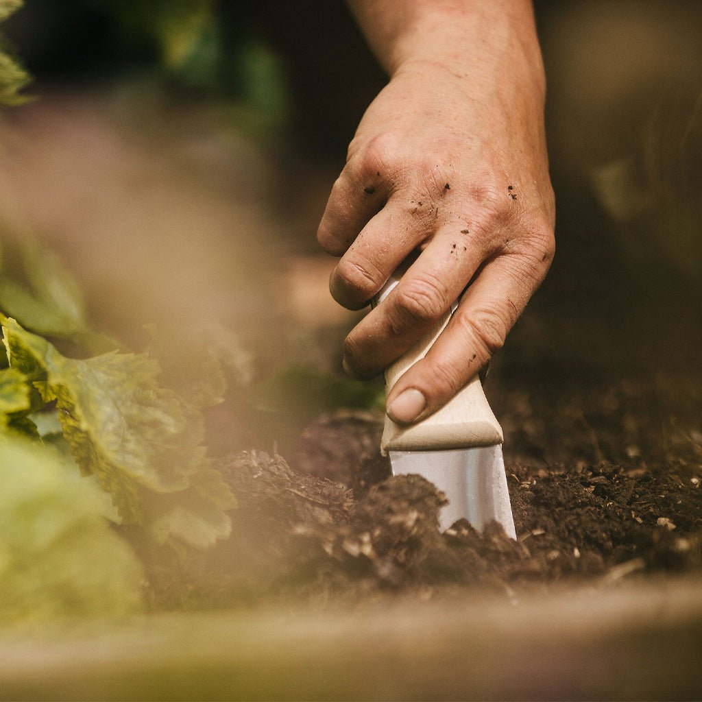 Hand using a small steel trowel to work with soil in a garden setting