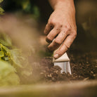 Hand using a small steel trowel to work with soil in a garden setting
