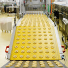 A conveyor belt in a food processing facility carrying rows of round baked biscuits.
