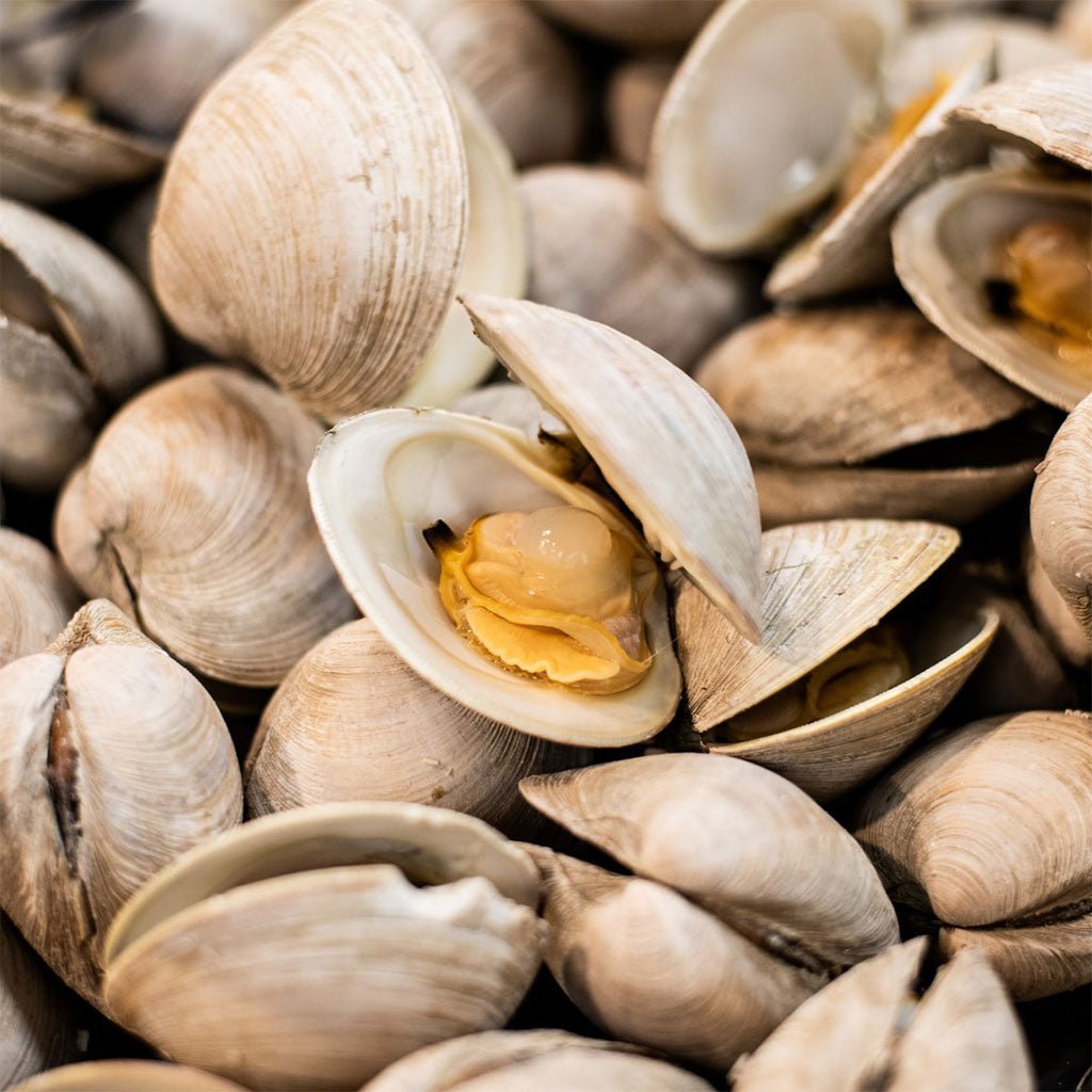 Island Creek Littleneck Clams w/ Confit Garlic, Chili, and Olive Oil Boston General Store