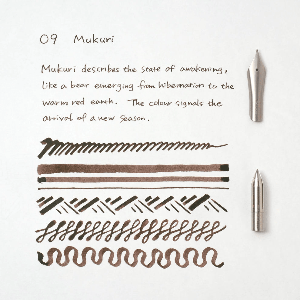 Fountain pen nibs with brown ink samples and descriptive text on a white background