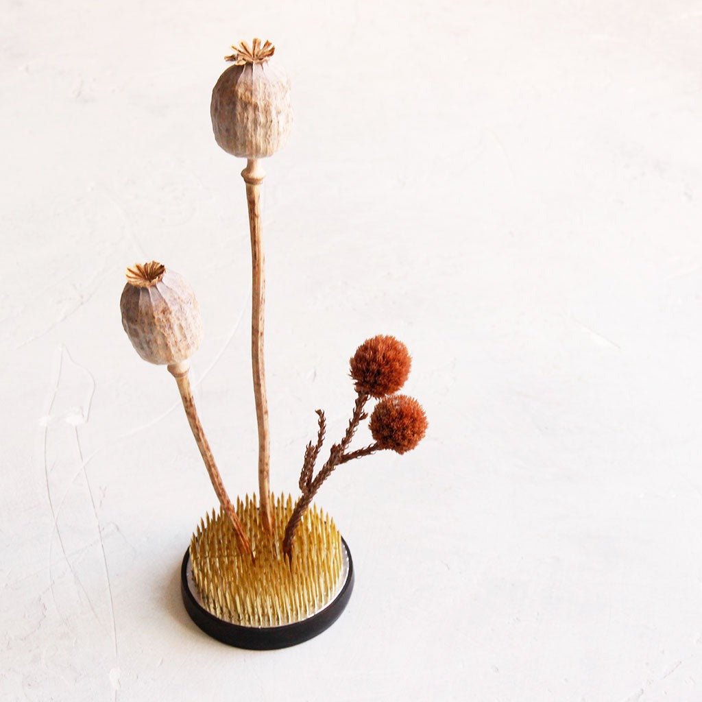 Kenzan Frog Boston General Store