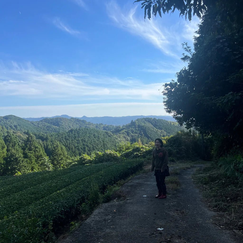 Person standing on a dirt path surrounded by tea farm with a clear blue sky above.