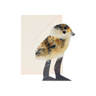 Card with a chick design with envelope on a white background