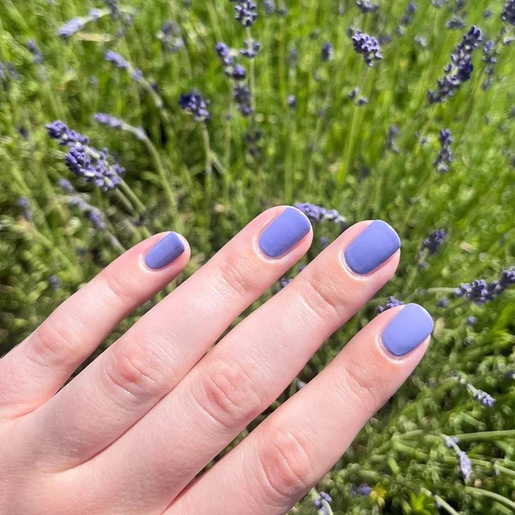 Hand with purple nail polish in front of a lavender field