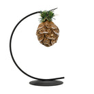 A pinecone ornament hanging on black display piece.