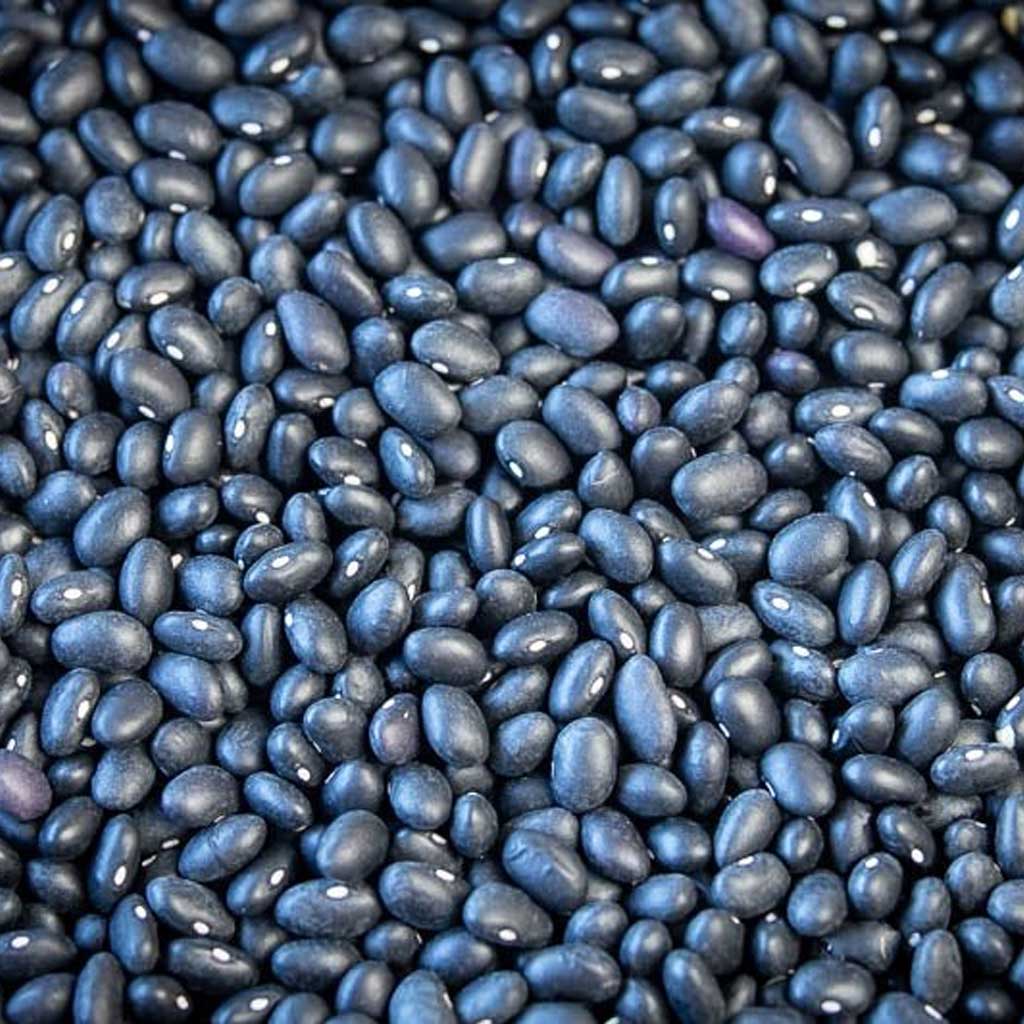 Close up of dried black beans