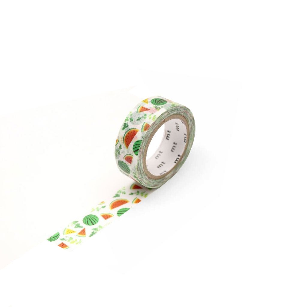 MT EX Series Washi Tape Boston General Store