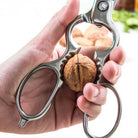 Hand holding a scissors cracking a walnut on a blurred background.