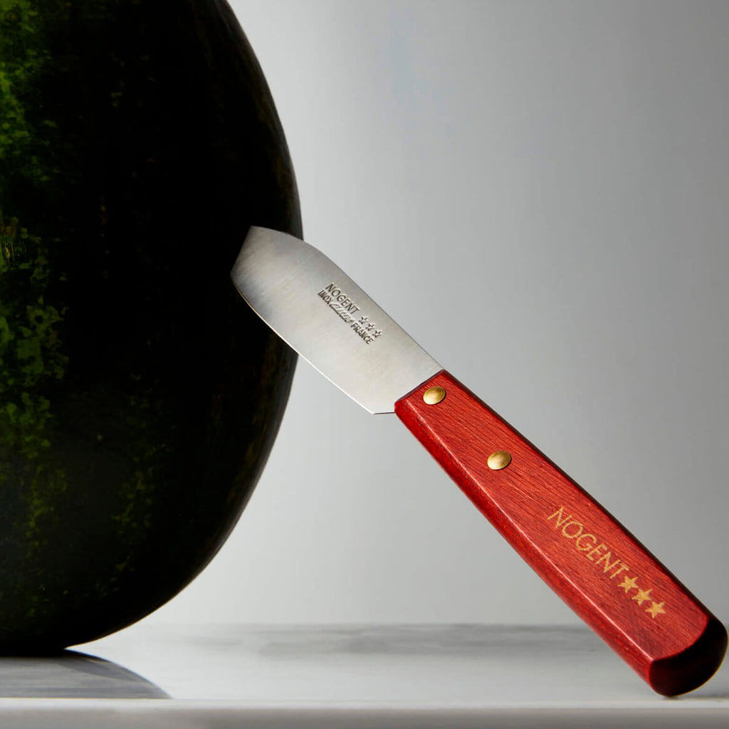 Nogent Multi-Purpose Kitchen &amp; Garden Knife    at Boston General Store