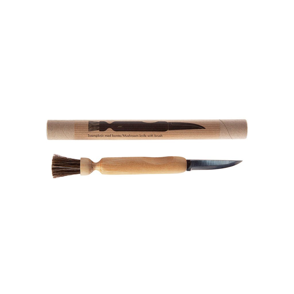 Wooden mushroom brush with knife next to packaging on white background