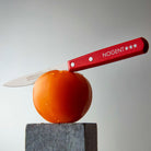 Nogent Utility and Tomato Knife Boston General Store