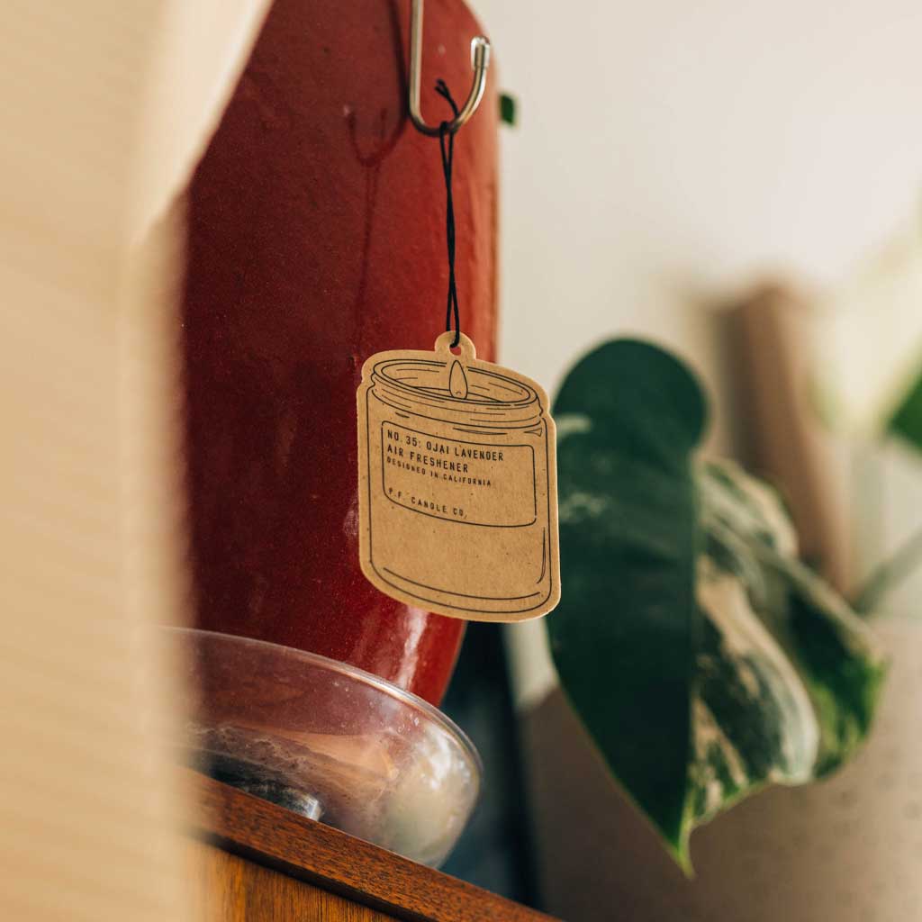 Air freshener hanging from a hook with a plant in the background