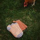 Two pairs of patterned socks on grass next to chicken.