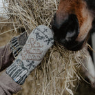 Hands wearing wool mittens feeding hay to a horse.