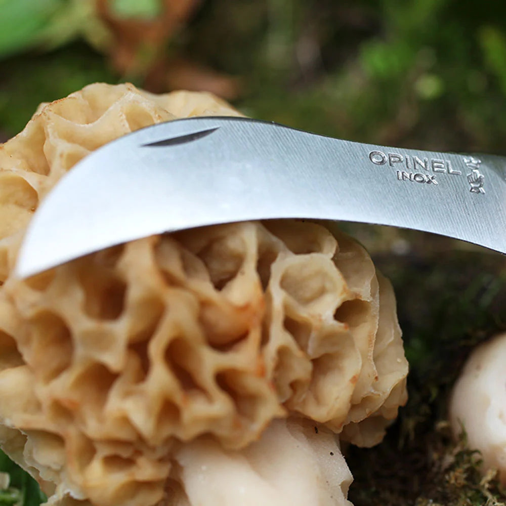 A close-up shot of a morel mushroom being sliced with a curved silver Opinel knife, set against a blurred green forest background.