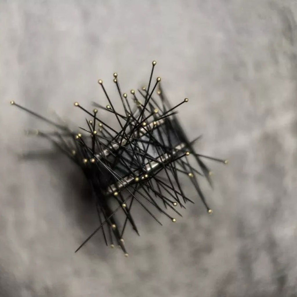 Pin Magnet at Boston General Store
