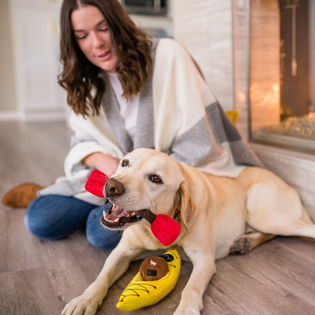 Plush Kayak Dog Toy    at Boston General Store