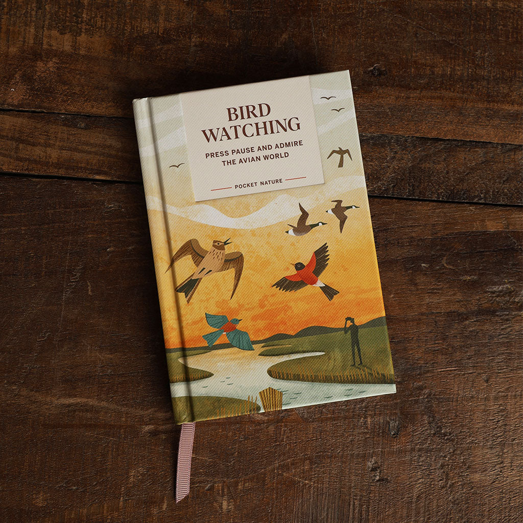 Pocket Nature: Birdwatching at Boston General Store