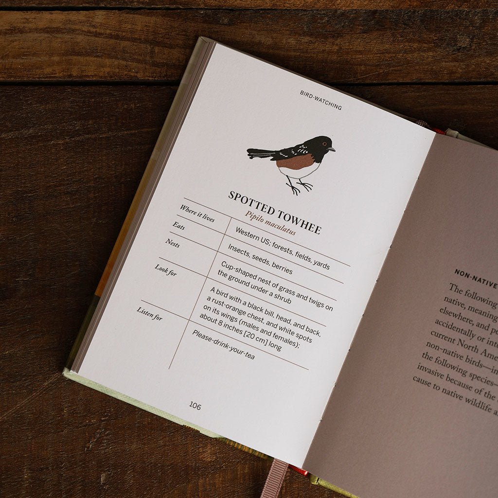 Pocket Nature: Birdwatching Boston General Store