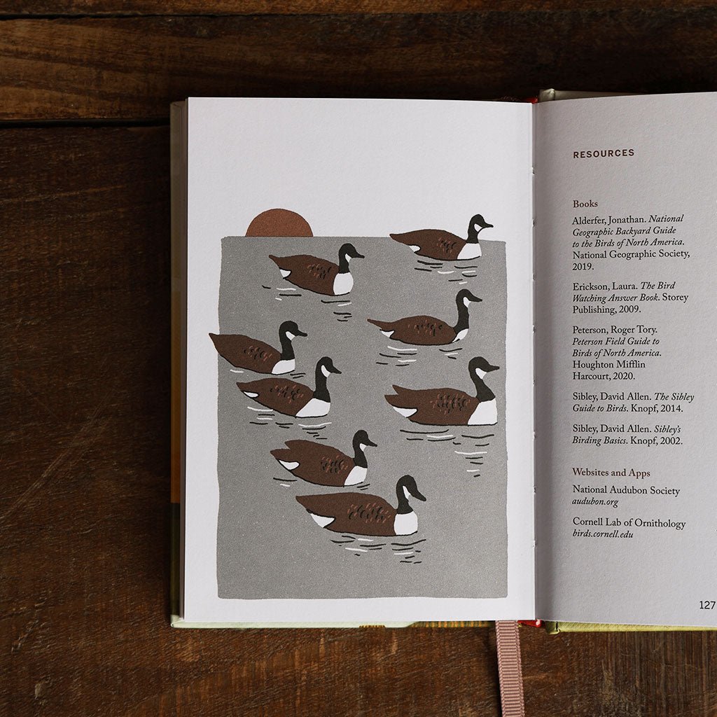 Pocket Nature: Birdwatching Boston General Store