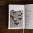 Pocket Nature: Birdwatching Boston General Store