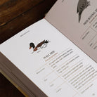 Pocket Nature: Birdwatching Boston General Store