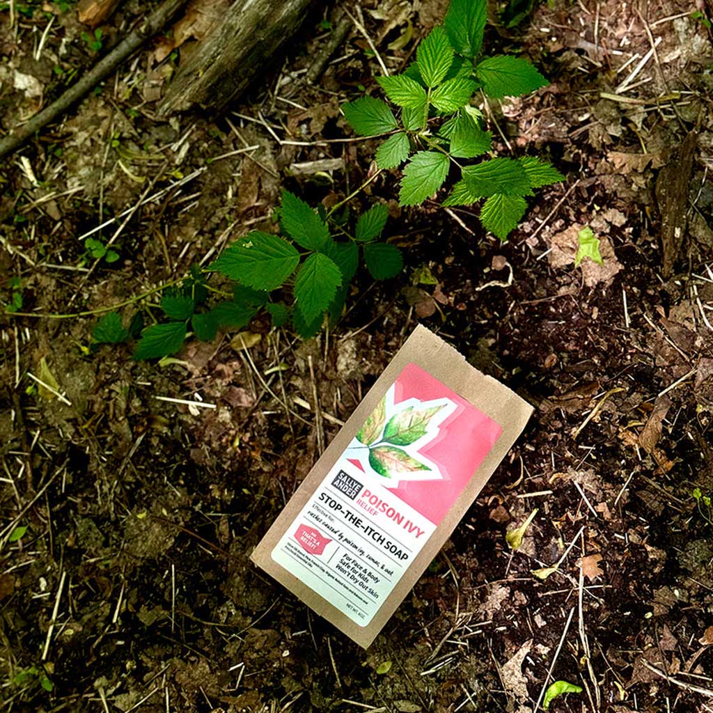 Bar of SallyeAnder poison ivy stop the itch soap in packaging on natural background of dirt and plants 