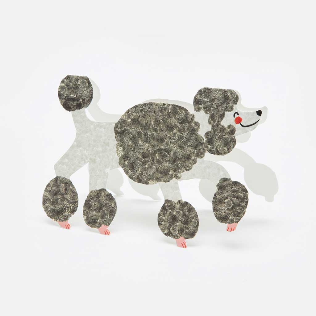 The Poodle Card at Boston General Store