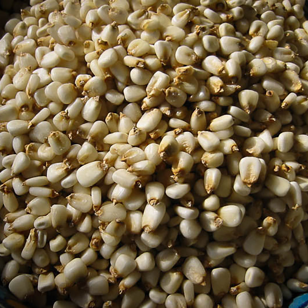 White Corn Posole/Prepared Hominy    at Boston General Store