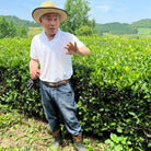 Man standing in a tea field wearing a straw hat and gloves, surrounded by green tea plants.