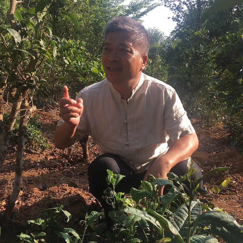 Puer for Preservation Boston General Store
