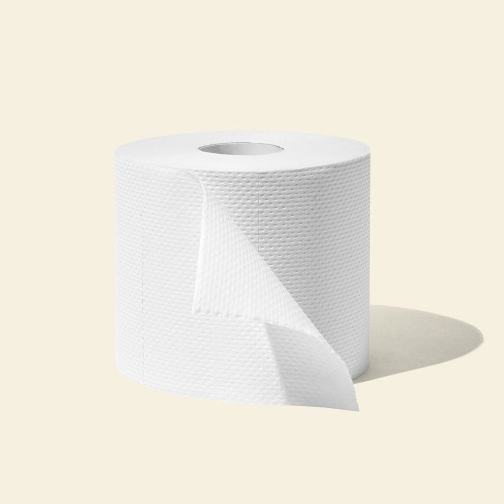Recycled Toilet Paper Boston General Store